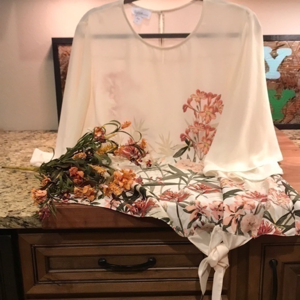Jaclyn Smith Sexy Creamy Floral Plus Size Top 1X